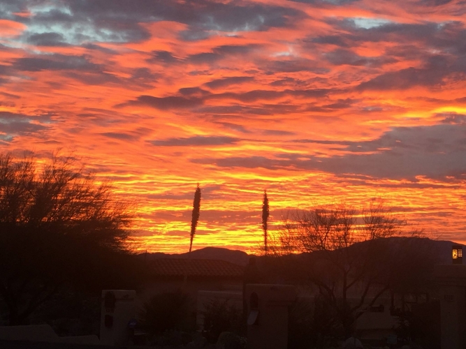 Sunrise 2-19-16